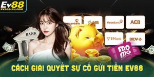 Lý do khiến hội viên nạp tiền vào EV88 chậm được cộng điểm