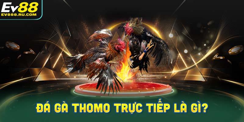 Đá gà Thomo trực tiếp là gì?