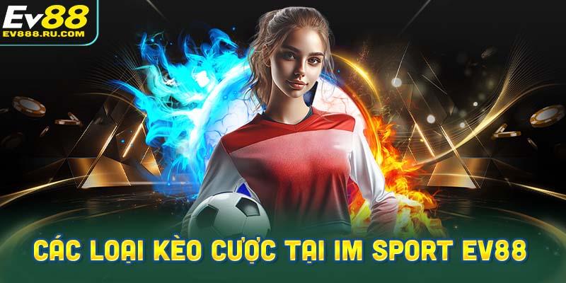 IM Sport cung cấp những loại kèo cược ra sao?