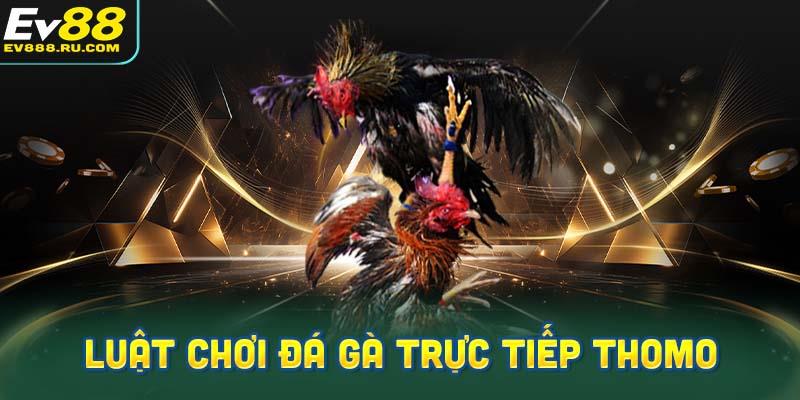 Hướng dẫn luật chơi đá gà trực tiếp Thomo